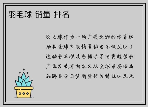 羽毛球 销量 排名