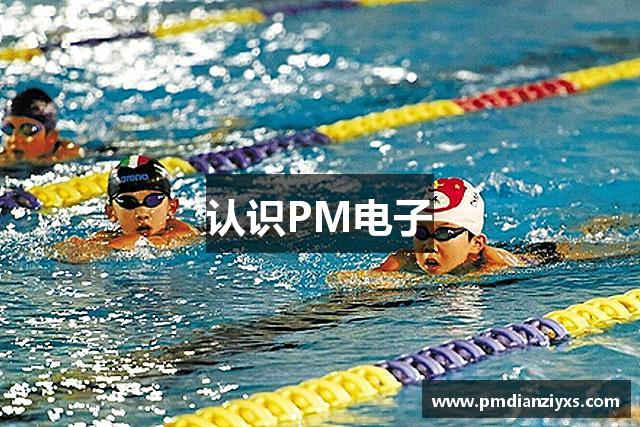 认识PM电子